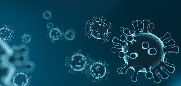 koronavirus_delod