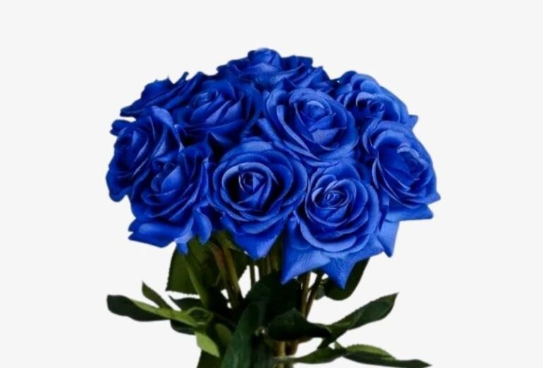 Royal Blue Rose Bouquet